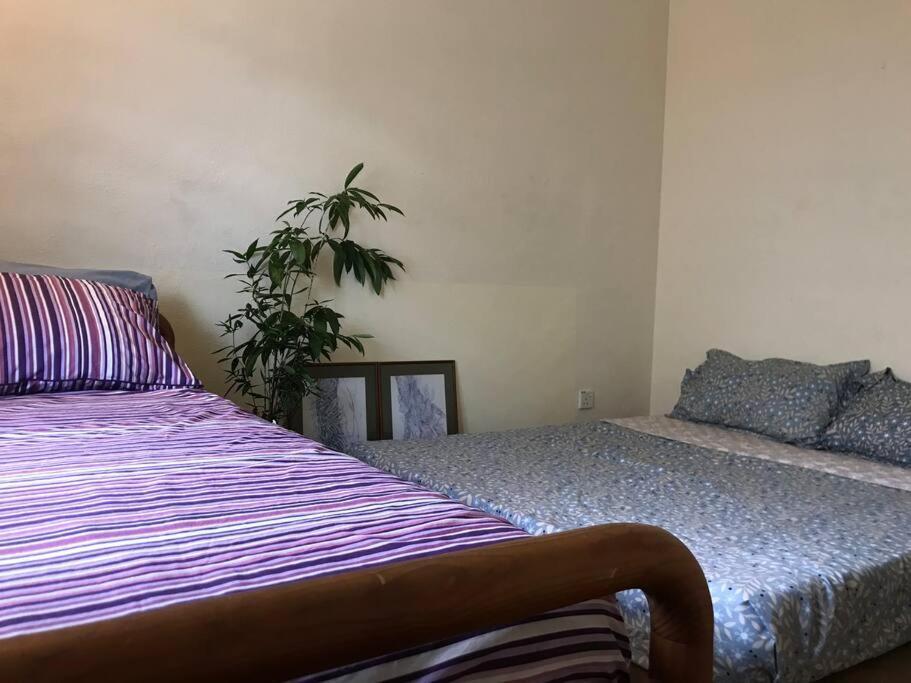 Rumah liburan Cosy Big House 5min Ciq Sogo Ksl Mall 4br 12pax Johor Bahru