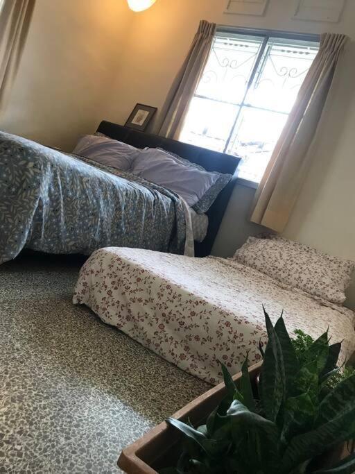 Cosy Big House 5min Ciq Sogo Ksl Mall 4br 12pax