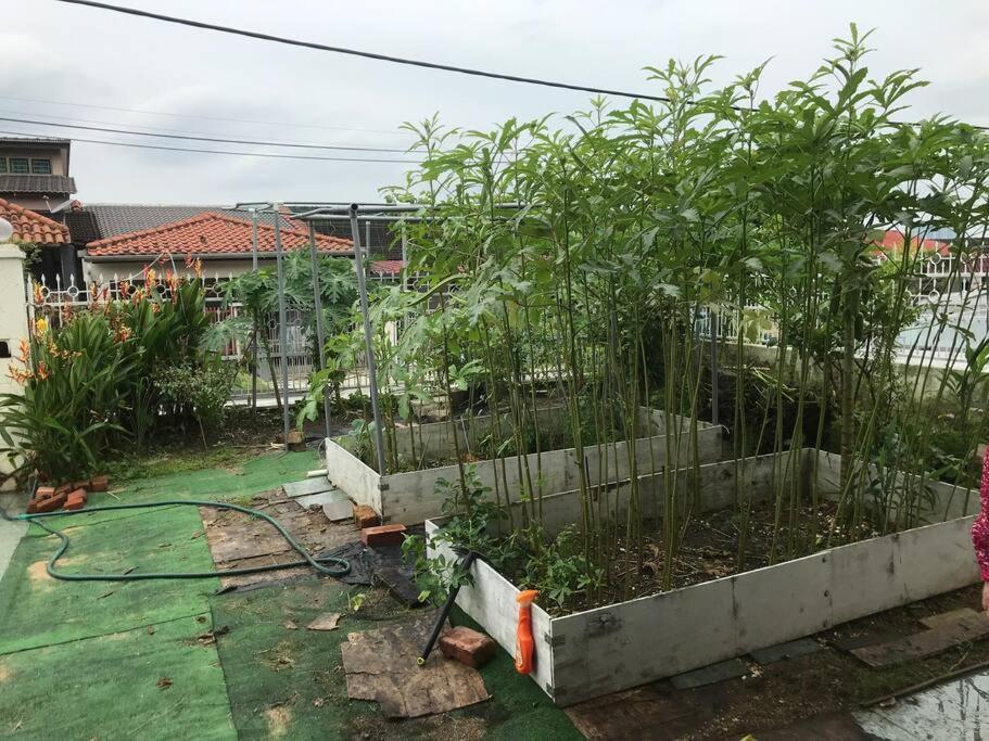 Cosy Big House 5min Ciq Sogo Ksl Mall 4br 12pax * Johor Bahru