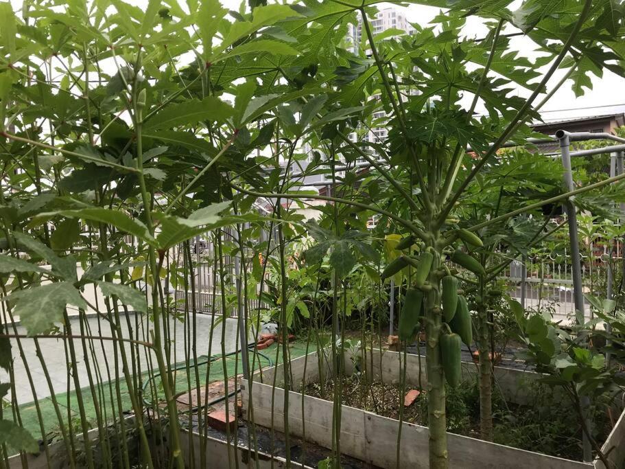 Cosy Big House 5min Ciq Sogo Ksl Mall 4br 12pax *